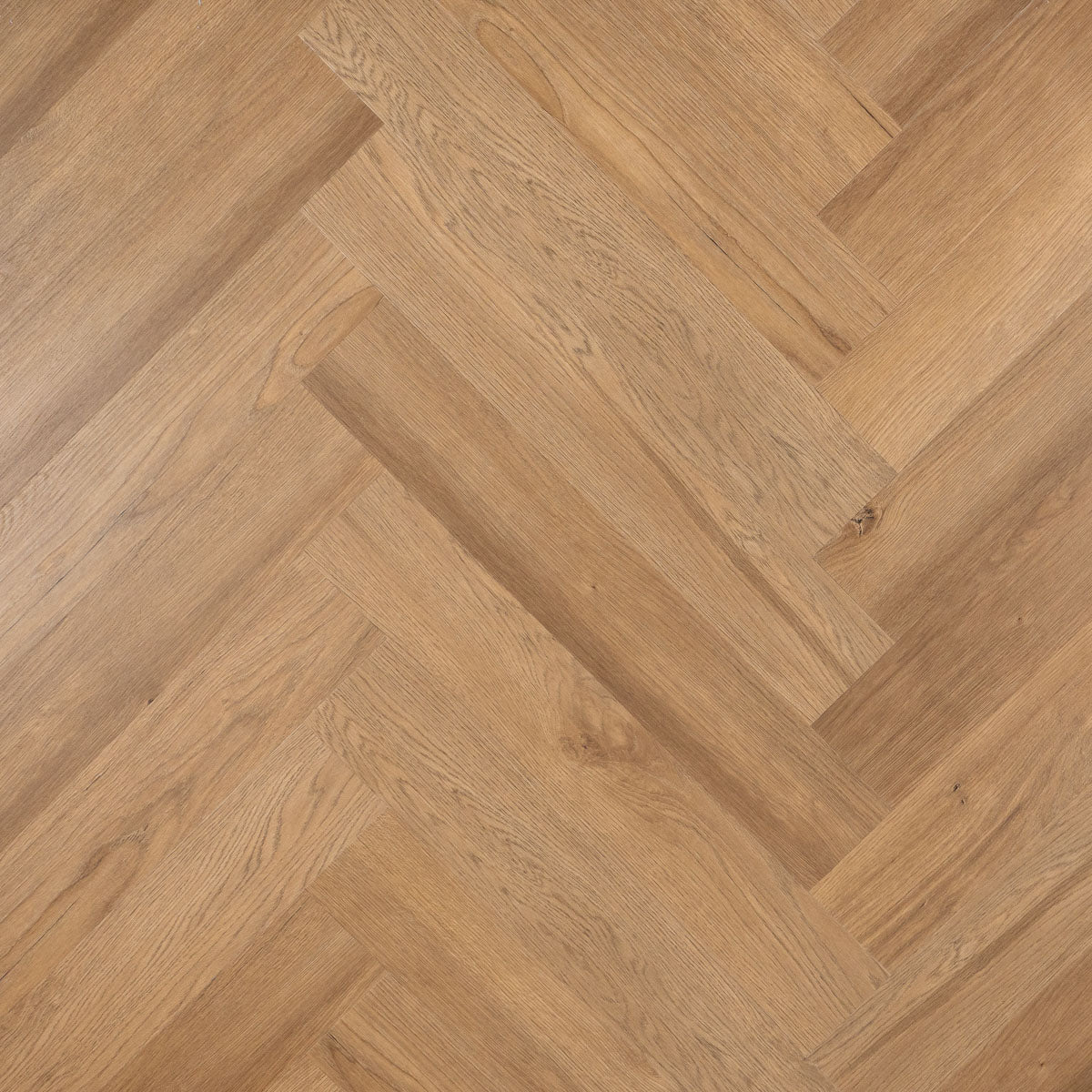 OTIUM Onyx Visgraat / Dryback (plak)