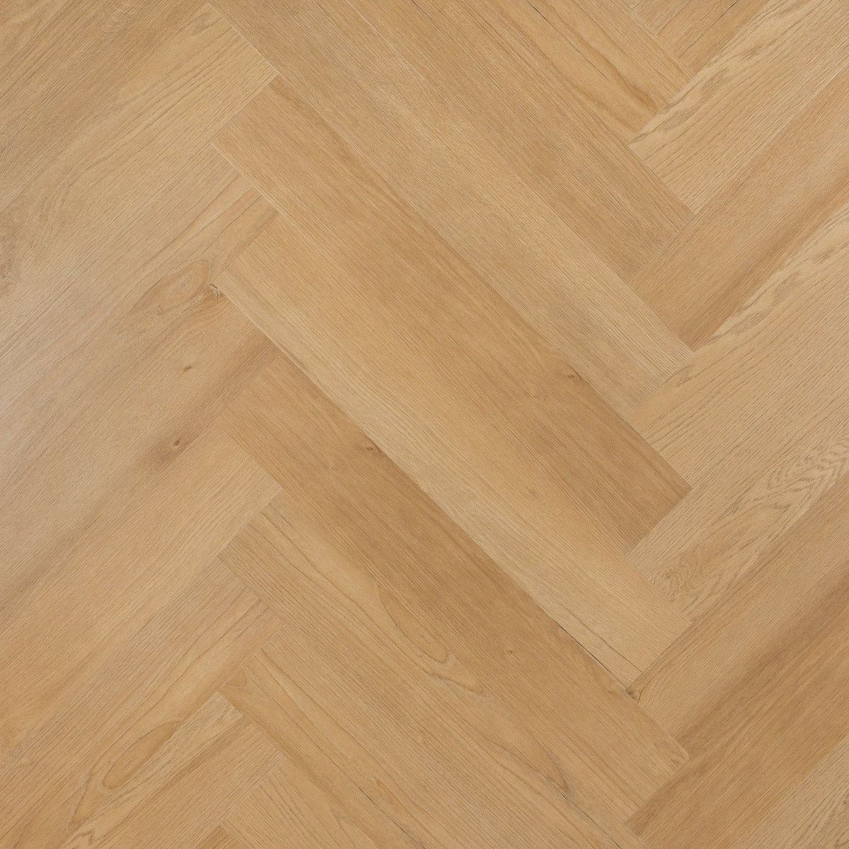 OTIUM Hammam Visgraat / Dryback (plak)