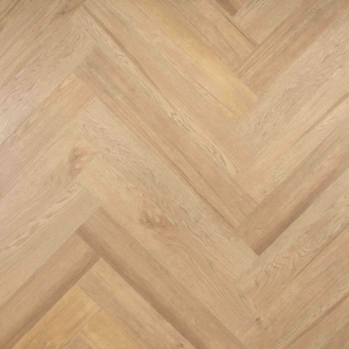 OTIUM Lux Visgraat / Dryback (plak)