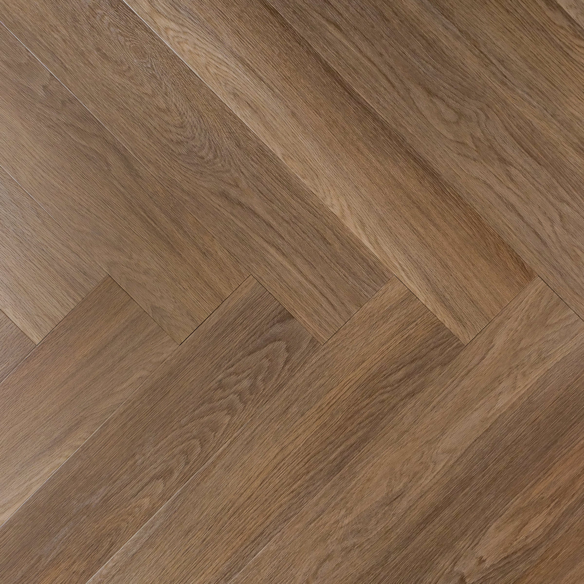 OTIUM Savanna Visgraat / Rigid (klik)