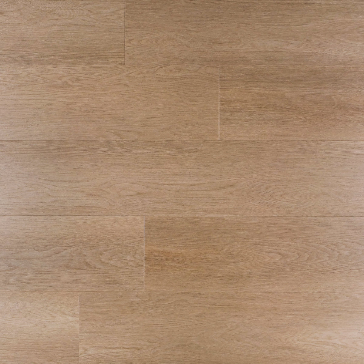 OTIUM Lagune Rechte Planken / Dryback (plak)